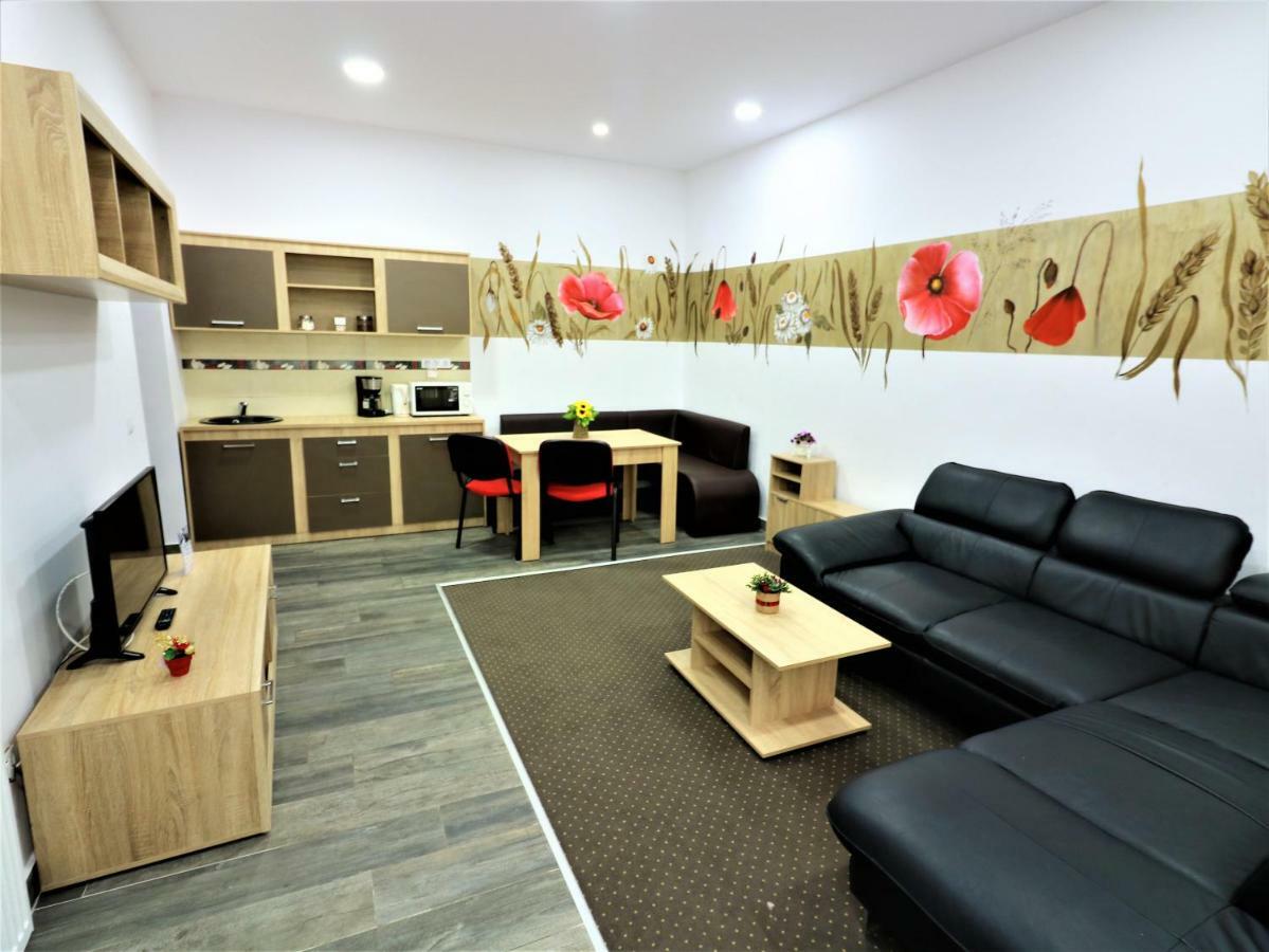 Flowers House Сибиу Экстерьер фото