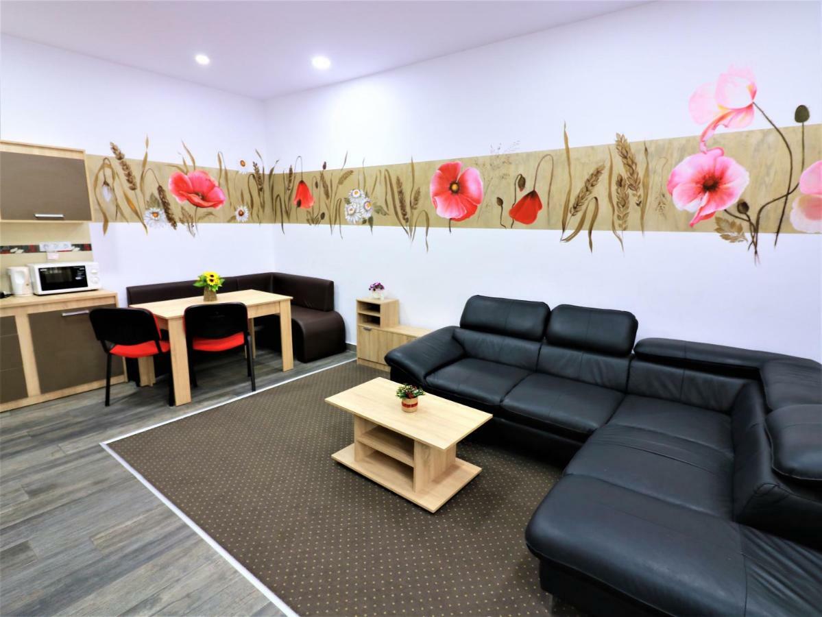 Flowers House Сибиу Экстерьер фото