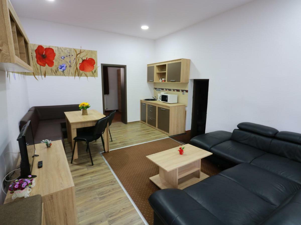 Flowers House Сибиу Экстерьер фото