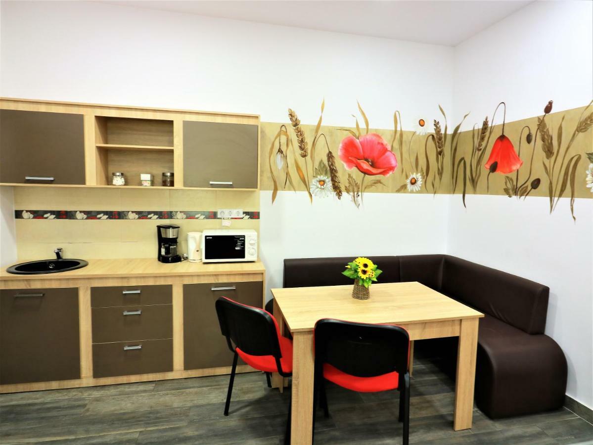 Flowers House Сибиу Экстерьер фото
